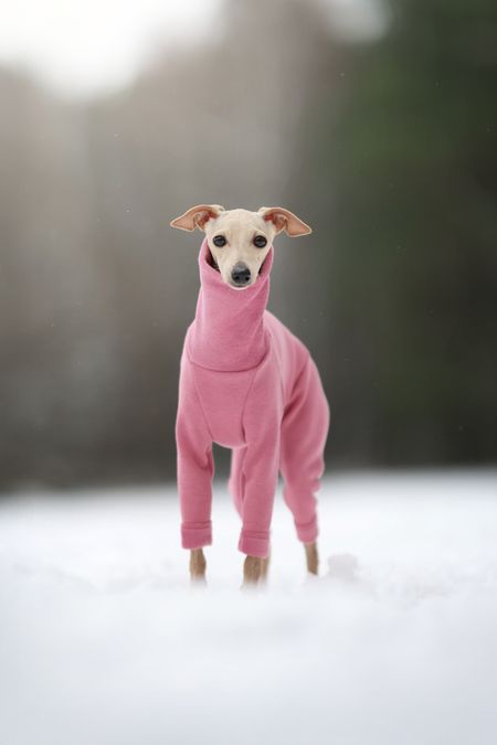 Sweatshirt jumpsuit Soft Style pink - L