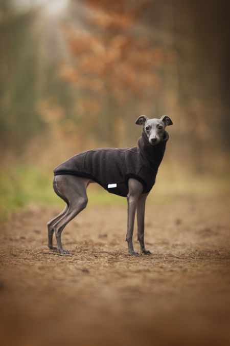 Bezrękawnik polarowy - różne kolory