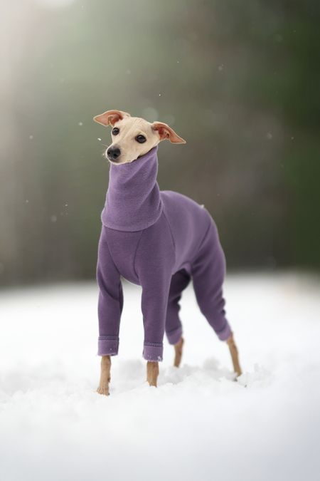 Kombinezon dresowy Soft Style