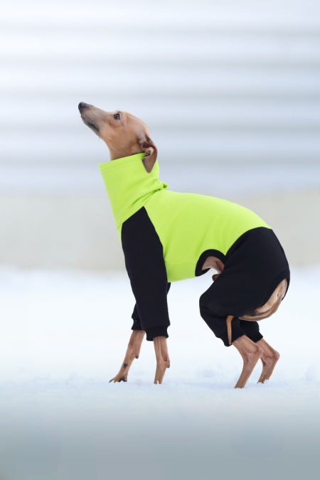 Kombinezon dresowy - limonka neonowa