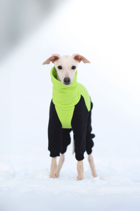 Kombinezon dresowy PUPPY - limonka neonowa