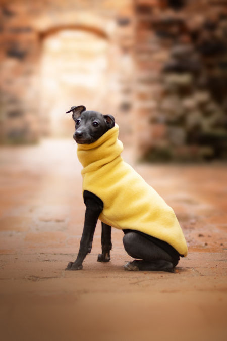 Bezrękawnik polarowy PUPPY - różne kolory