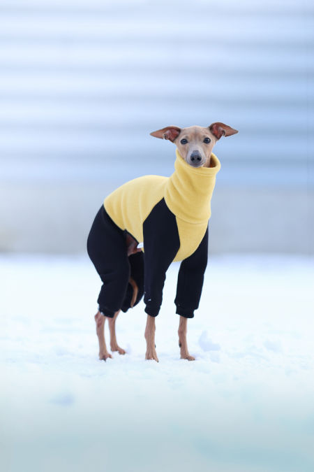 Kombinezon polarowo-dresowy żółto czarny