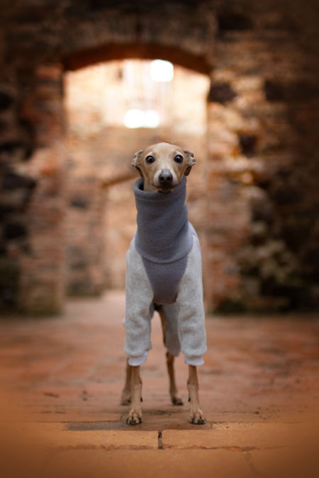 Blue and grey fleece jumpsuit