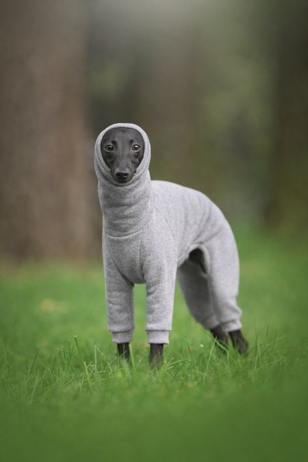 Kombinezon dresowy Kapturek szary melanż - S