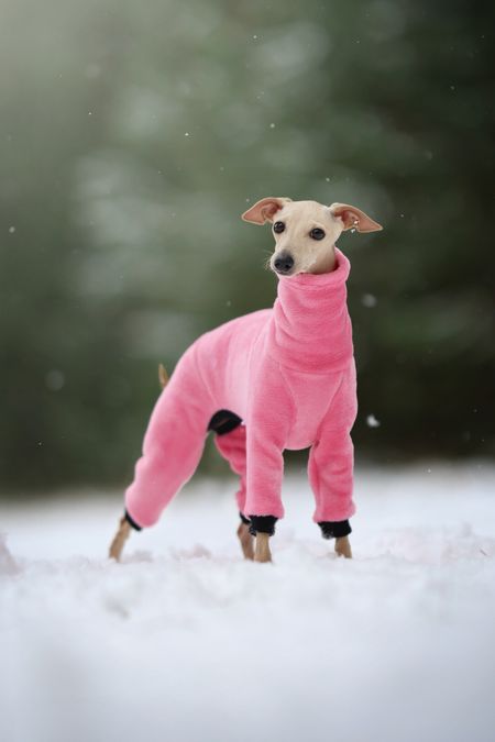 Kombinezon polarowy Minky Plush