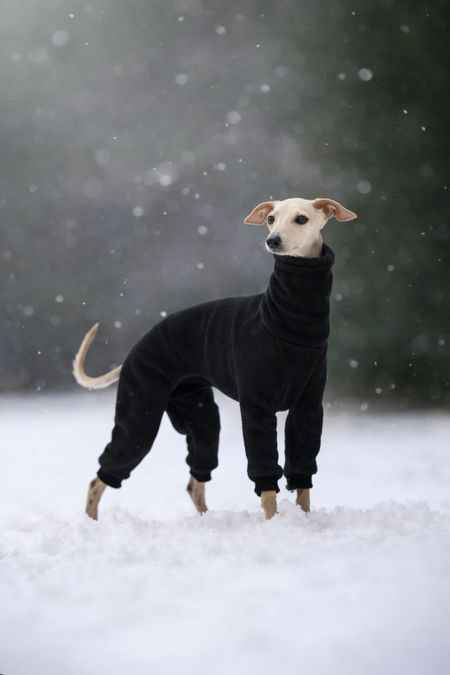 Kombinezon polarowy Minky Plush czarny - S