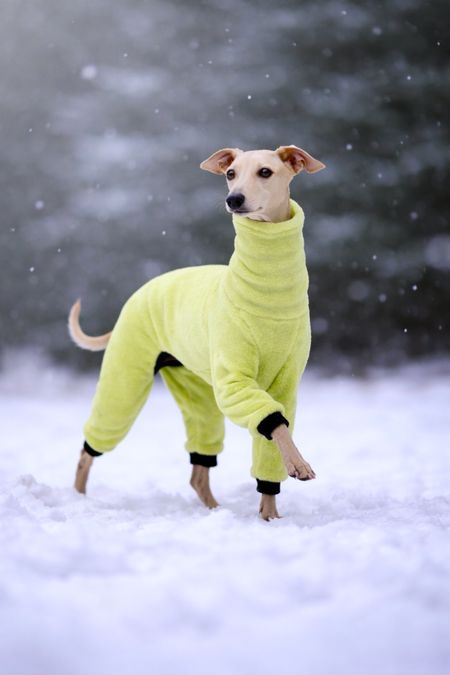 Kombinezon polarowy Minky Plush limonka - L