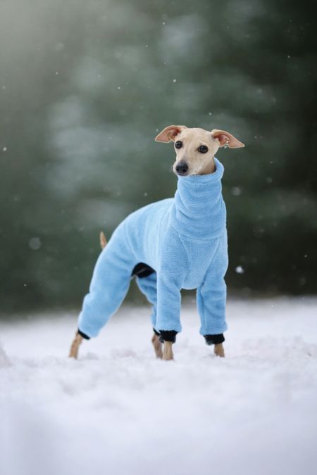 Kombinezon polarowy Minky Plush niebieski - S